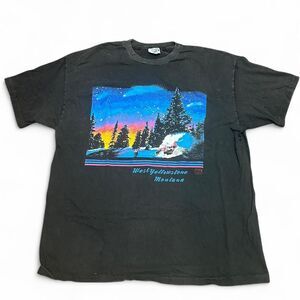 Vintage 1980's Single Stitched Hanes Beefy-T Men's Yellowstone Park T-shirt
